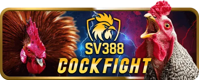 Quy trình rút tiền từ bj3888